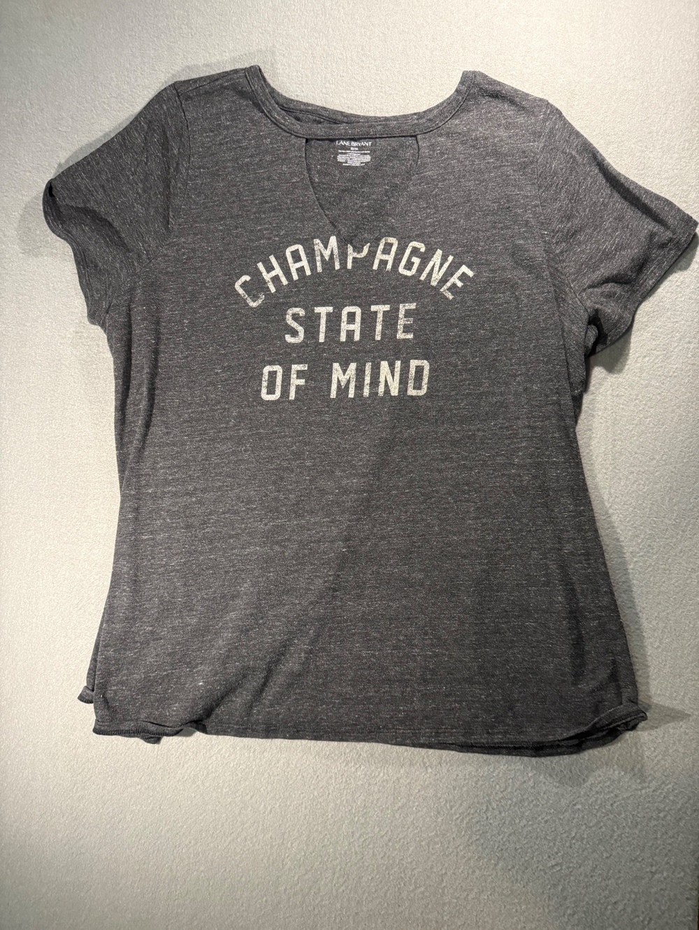 Lane Bryant Gray Short Sleeve T-Shirt Size 22/24 Champagne State of Mind